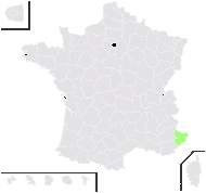 Hieracium crinitum Sm. - carte de répartition