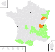 Gnaphalium norvegicum Gunnerus - carte de répartition