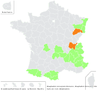 Omalotheca norvegica (Gunnerus) Sch.Bip. & F.W.Schultz - carte de répartition