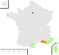 Kentrophyllum tingitanum Ces., Pass. & Gibelli - carte de répartition