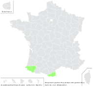 Onopordum gautieri Rouy - carte de répartition