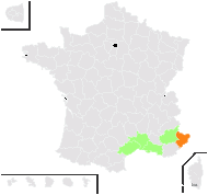 Onopordum tauricum Willd. - carte de répartition