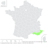 Osteospermum ecklonis (DC.) Norl. - carte de répartition