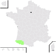 Hieracium boutignyanum Arv.-Touv. - carte de répartition
