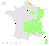 Tussilago riparia Salisb. - carte de répartition