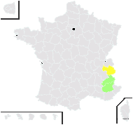 Hieracium mutelii Arv.-Touv. - carte de répartition