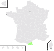 Hieracium graniticum Sch.Bip. - carte de répartition