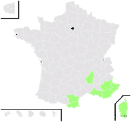 Phagnalon saxatile (L.) Cass. - carte de répartition