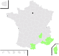 Phagnalon subdentatum Cass. - carte de répartition