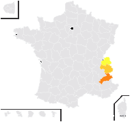 Hieracium godetii Christener - carte de répartition