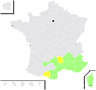 Phagnalon sordidum (L.) Rchb. - carte de répartition