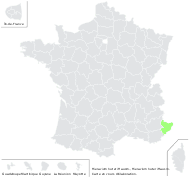 Hieracium huteri Hausm. ex Bamb. - carte de répartition