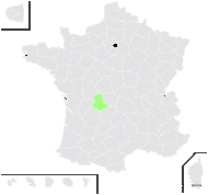 Hieracium inquinatum Jord. ex Boreau - carte de répartition