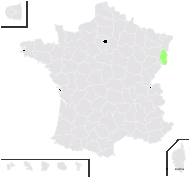 Hieracium issleri Touton & Zahn - carte de répartition