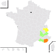 Hieracium kochianum Jord. - carte de répartition