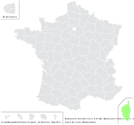 Bupleurum corsicum Coss. & Kralik - carte de répartition