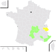 Hieracium levicaule Jord. - carte de répartition