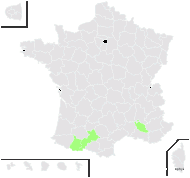 Hieracium lamprophyllum Scheele - carte de répartition