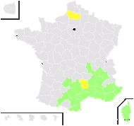 Picridium vulgare Desf. - carte de répartition