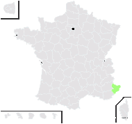 Hieracium ragusinoides Arv.-Touv. & St.-Yves - carte de répartition