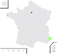 Schlagintweitia huteri subsp. lantoscana (Burnat & Gremli) Gottschl. & Greuter - carte de répartition