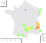 Hieracium brevifolium Tausch - carte de répartition