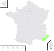 Hieracium legraeanum Arv.-Touv. - carte de répartition