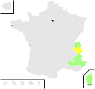 Hieracium leiopogon Gren. - carte de répartition