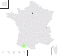 Hieracium gavarnianum Rouy - carte de répartition