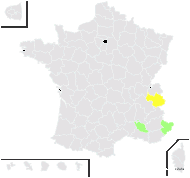 Hieracium morisianum Rchb.f. - carte de répartition