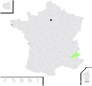 Hieracium murorovillosum Rehmann - carte de répartition