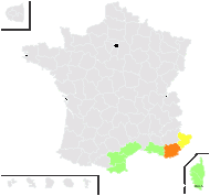 Scolymus grandiflorus Desf. - carte de répartition