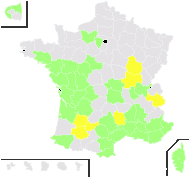 Scolymus hispanicus L. - carte de répartition