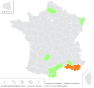 Scolymus maculatus L. - carte de répartition