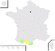 Hieracium neocerinthe Fr. - carte de répartition