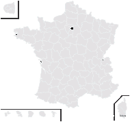 Hieracium brunelliforme Arv.-Touv. - carte de répartition