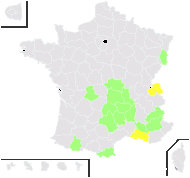 Hieracium onosmoides Fr. - carte de répartition