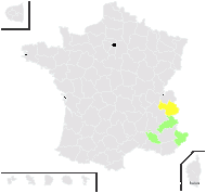 Hieracium oreiocephalum Zahn - carte de répartition