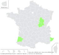 Hieracium ovalifolium Jord. - carte de répartition