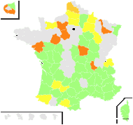 Scorzonera paucifida Lam. - carte de répartition