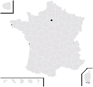 Hieracium perreymondii Jord. - carte de répartition