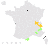 Hieracium porrectum Fr. - carte de répartition