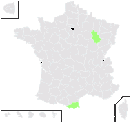 Hieracium barbulare Zahn - carte de répartition