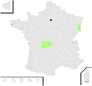 Hieracium prasinifolium Jord. ex Boreau - carte de répartition