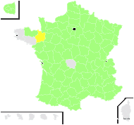 Senecio arnascensis Gand. - carte de répartition