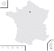 Hieracium patens Bartl. - carte de répartition