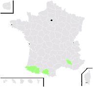 Hieracium ramondii Griseb. - carte de répartition