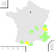 Hieracium rapunculoides Arv.-Touv. - carte de répartition