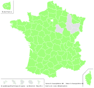 Senecio inaequidens DC. - carte de répartition