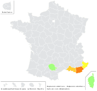 Agostana divaricata Gray - carte de répartition